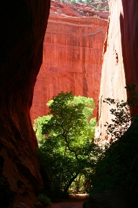 IC CAPITOL REEF