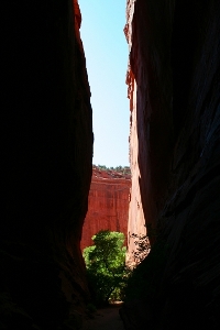 IC CAPITOL REEF