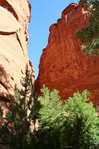 IC CAPITOL REEF