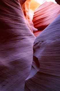 LOWER ANTELOPE