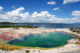 ABYSS POOL