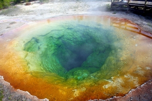 MORNING GLORY POOL