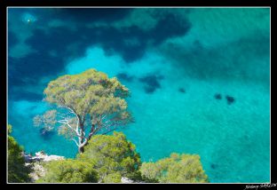 calanque d`en vau