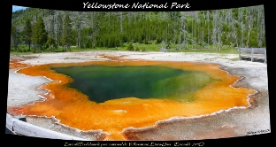 emerald pool